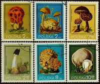 Набор почтовых марок (6 шт.). "Грибы". 1980 год, Польша.