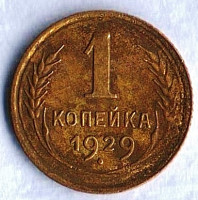 Монета 1 копейка. 1929 год, СССР. Шт. 2.