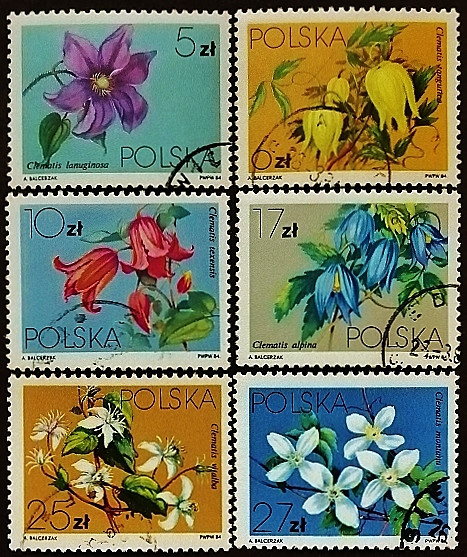 Набор почтовых марок (6 шт.). "Цветы". 1984 год, Польша.