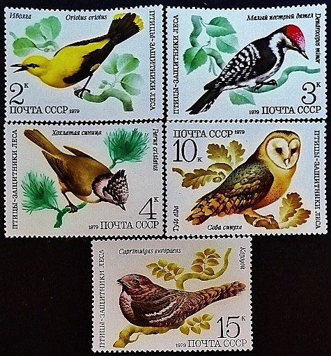 Набор марок (5 шт.). "Птицы - защитники леса". 1979 год, СССР.