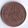 Монета 2 пенса. 1982 год, Ирландия.