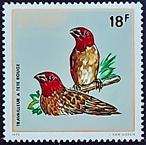 Марка почтовая (18 f.). "Рыжеволосая Квелеа". 1972 год, Руанда.