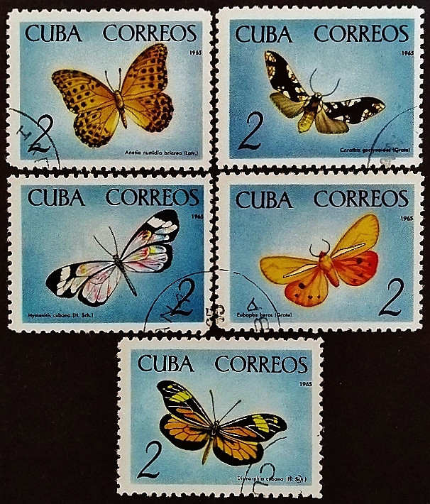 Набор почтовых марок (5 шт.). "Бабочки (I)". 1965 год, Куба.