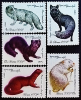 Набор марок (5 шт.). "Ценные породы пушистых животных". 1980 год, СССР.