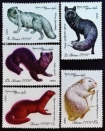 Набор марок (5 шт.). "Ценные породы пушистых животных". 1980 год, СССР.