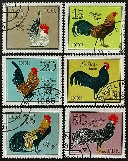 Набор почтовых марок (6 шт.). "Домашняя птица". 1979 год, ГДР.
