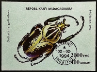 Мини-блок. "Насекомые". 1994 год, Мадагаскар.