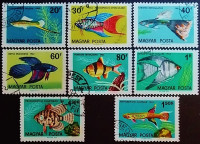 Набор почтовых марок (8 шт.). "Тропические рыбы". 1962 год, Венгрия.