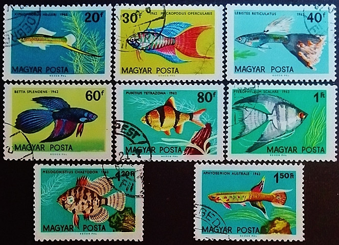 Набор почтовых марок (8 шт.). "Тропические рыбы". 1962 год, Венгрия.