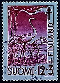 Почтовая марка (12+3 m.). "Против туберкулёза". 1951 год, Финляндия. Почтовая марка (12+3 m.). "Против туберкулёза". 1951 год, Финляндия.