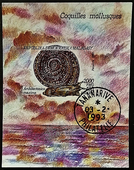 Мини-блок. "Раковины и моллюски". 1993 год, Мадагаскар.